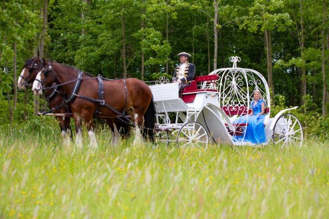 Camelot-Shires Fuhrhalterei - Hochzeitsfahrten der Extraklasse, Hochzeitsauto · Kutsche Schöneck-Kilianstädten, Kontaktbild