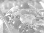Partyservice Diedloff, Catering · Partyservice Hannover, Logo Partyservice Diedloff, Catering · Partyservice Hannover, Logo